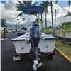 Image 2 : 2012 Twin Vee Catamaran 16' 10"