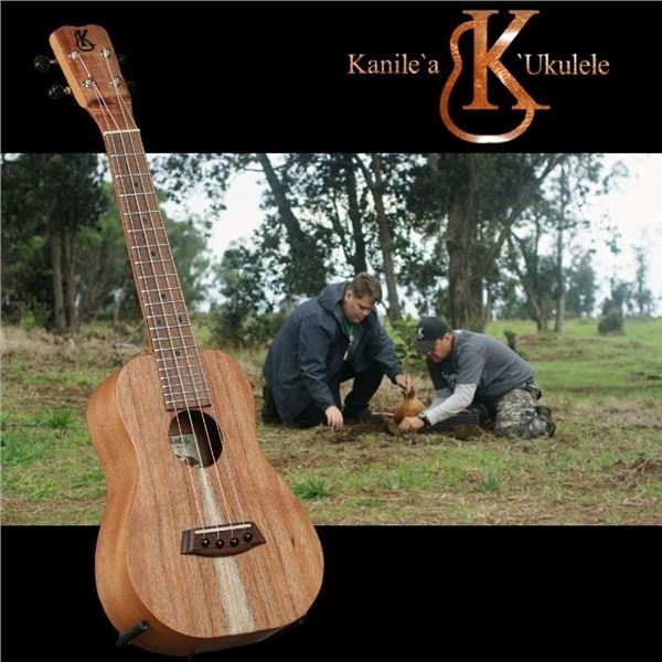 Gorgeous Oha Concert Series Ukulele from Kanile'a