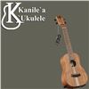 Image 2 : Gorgeous Oha Concert Series Ukulele from Kanile'a