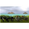 Image 3 : Two Electric Bike Rentals In Kailua