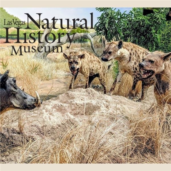 Family of 4 Passes to Las Vegas Natural History Museum