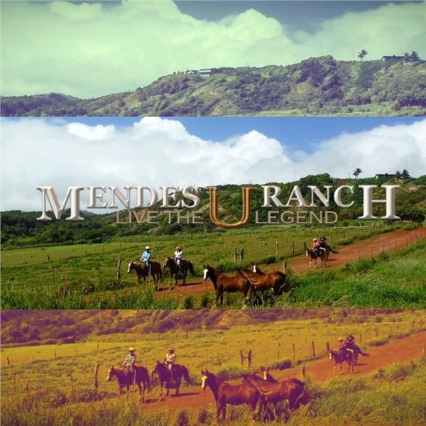 Horseback Trail Ride for Two at Mendes Ranch on Maui