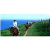 Image 3 : Horseback Trail Ride for Two at Mendes Ranch on Maui