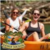 Image 1 : Two Kayak Rentals and Tour in Wailua