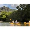 Image 3 : Two Kayak Rentals and Tour in Wailua