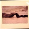 Image 4 : Four John Johnson Photographs from One Breath Photo