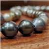 Image 8 : 9-10mm A+ Tahitian Pearl Double Strand with Purple Tassels $1,500 Value!