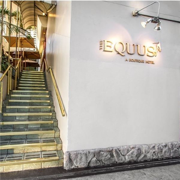 One Night Stay at The Equus