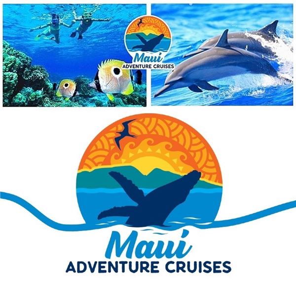 Maui Lana'i Dolphin Adventure Tour