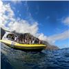 Image 3 : Napali Super Raft Adventure Pass for Two