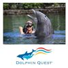 Image 1 : Two Half-Hour Dolphin Encounter Tickets at Dolphin Quest Oahu