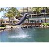 Image 3 : Two Half-Hour Dolphin Encounter Tickets at Dolphin Quest Oahu