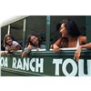 Image 3 : Gift Certificate for Two People for any Experience Tour at Kualoa Ranch