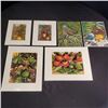 Image 1 : Island Art By Noni Package