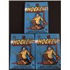 Image 1 : 1982-83 O-PEE-CHEE Hockey wax packs (3 packs)