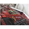 Image 3 : 3 Large Canvas Racing Signs