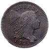 Image 2 : 1795 S-75 Lettered Edge R3 PCGS XF Detail, Environmental Damage