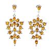 Image 2 : Natural Citrine Earrings