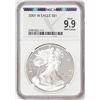 Image 1 : 2001-W $1 Proof American Silver Eagle Coin NGCX Proof 9.9 Ultra Cameo