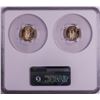 Image 2 : Set of 2021 Type 1 & Type 2 $5 American Gold Eagle Coins NGC MS70