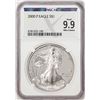 Image 1 : 2000-P $1 Proof American Silver Eagle Coin NGCX Proof 9.9 Ultra Cameo