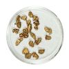 Image 1 : Gold Nuggets 3.84 Grams Total Weight