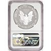 Image 2 : 2013-W $1 Proof American Silver Eagle Coin NGC PF69 Ultra Cameo