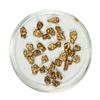 Image 1 : Gold Nuggets 4.62 Grams Total Weight