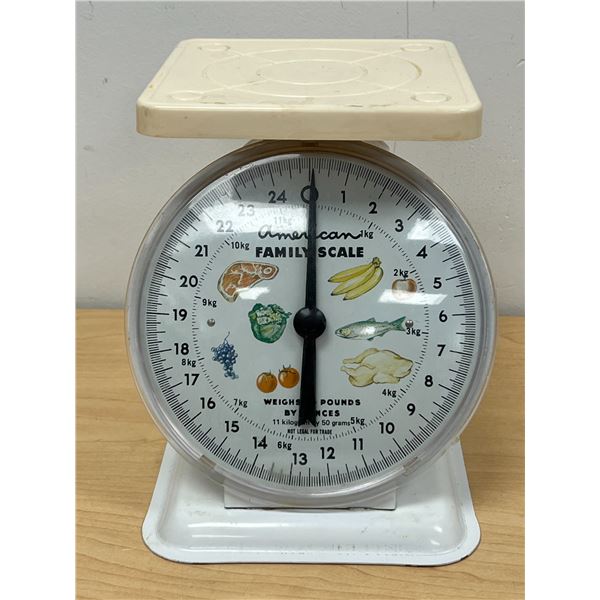 Vintage Retro American Family Scale - nice overall - Approx: 8.5x6.5" & 8"T