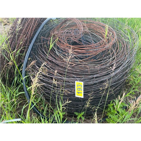 Hog & Barb wire