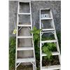Image 1 : 2- Ladders & Stand