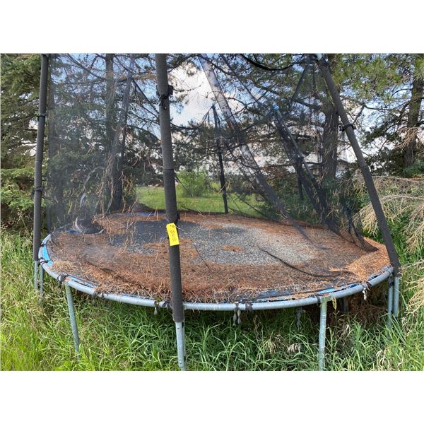 Trampoline (Older)