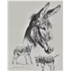 Image 2 : Robert ''Shoofly'' Shufelt Print ''Everett''