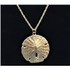 Image 1 : Sand Dollar Pendant on 14K Gold Rope Chain