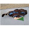 Image 1 : Blue And Black Golf Bag With Clubs