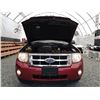 Image 49 : A2 --  2009 FORD ESCAPE XLT 4X4 SUV, RED, 266,970 KMS