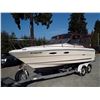 Image 2 : 0F --  1984 SEARAY BOAT 24FT APX SITTING ON A 23.5 FT APX EZ LOADER BOAT TRAILER, 1409 HOURS