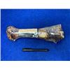 Image 1 : The Chompery Beef Foreshank Bone