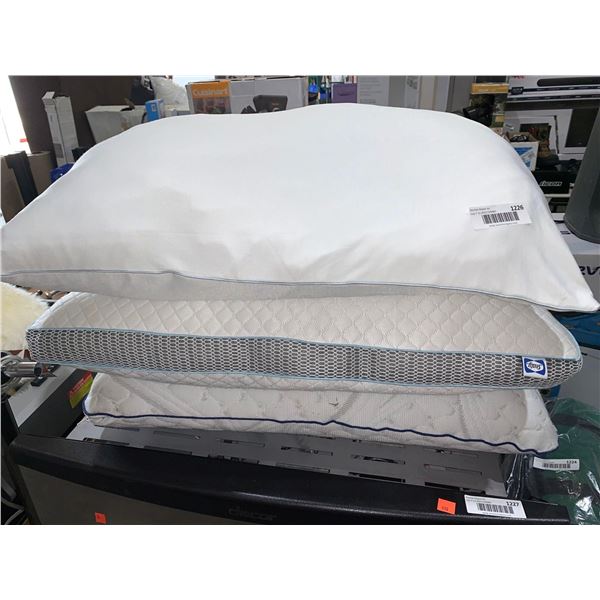 Lot of 3 assorted pillows