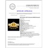 Image 6 : Rolex DateJust 18K YG Diamond 26MM Wristwatch