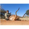 Image 8 : PHASA Eland Hunt in Limpopo