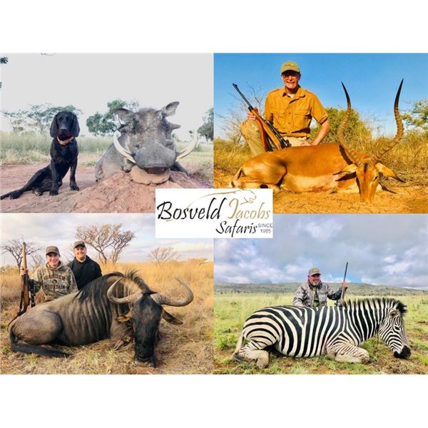 PHASA 10 Day / 11 Night plainsgame hunt for 2 Hunters in the Bushveld.