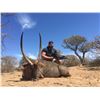 Image 11 : PHASA - Build your own hunt for 4 Hunters
