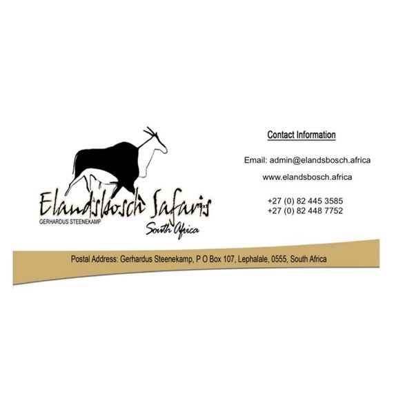 PHASA - Plainsgame hunt in Limpopo Province.