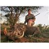 Image 9 : PHASA - Mixed bag hunt for 2 hunters