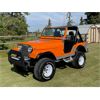 Image 3 : 1980 JEEP LAREDO CJ5 4x4