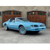 Image 2 : 1978 PONTIAC FIREBIRD ESPRIT SKYBIRD EDITION