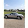 Image 2 : 2004 FORD THUNDERBIRD CONVERTIBLE