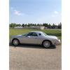 Image 2 : 2004 FORD THUNDERBIRD CONVERTIBLE