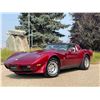 Image 3 : NO RESERVE 1978 CHEVROLET CORVETTE STINGRAY